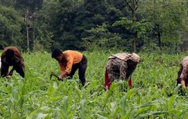 IFFCO farmer bags Krishak Samrat Samman