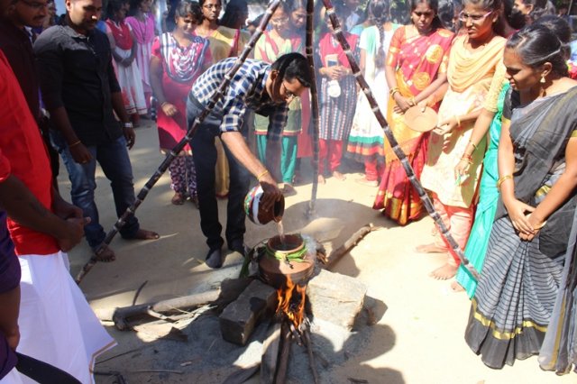 Pongal Vizha