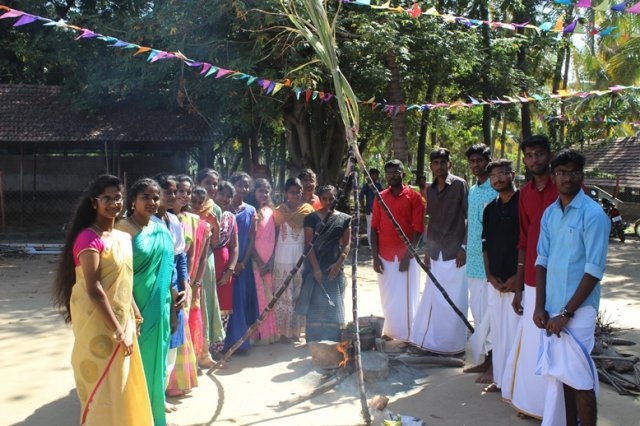 Pongal Vizha