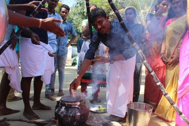 Pongal Vizha