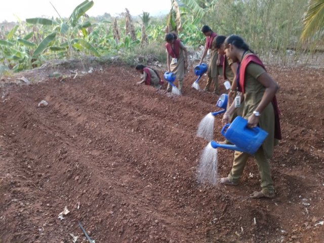 Crop cafeteria