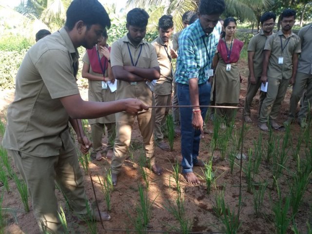 Crop cafeteria